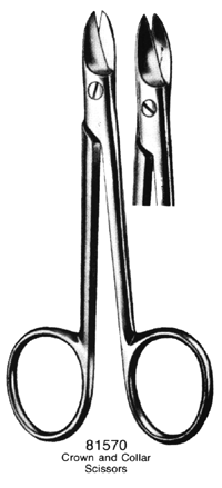 Crown and Collar Scissors Straight 4.5&quot; one blade serrated