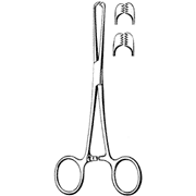 ALLIS Tissue Forceps 5x6 Teeth 7&quot;