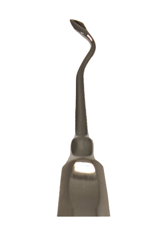 Bernard Elevator Spade Serrated Tip Right Molar