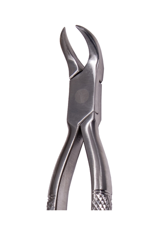 Cow Horn Lower Forceps (Texas Cow Horn) Narrow Beaks