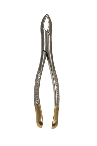 Upper Molar Universal Forceps