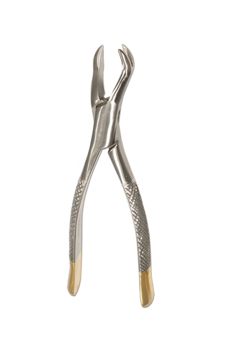 Upper Molar 1x2 Teeth  Left Forceps