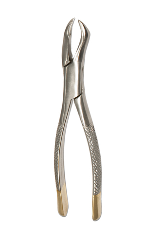 Upper Molar 1x2 Teeth Right Forceps