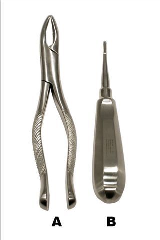 Wolf Tooth Forceps &amp; Elevator Set