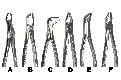 Extraction Forceps