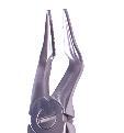 Root Fragment Extraction Forceps
