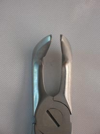 Lower Molar Universal Forceps