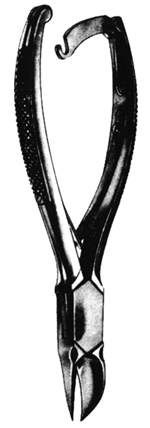 Nail Nipper with Concave Jaws 6.5&quot;