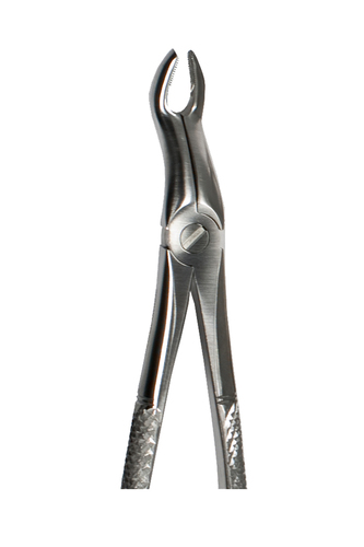 Upper 3rd Molar Forceps