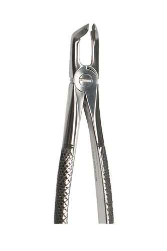 Lower 3rd Molar Forceps