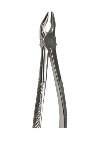 Universal Pre Molar-Upper Forceps