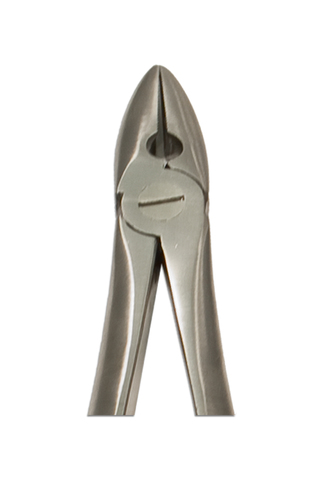 Upper Incisors Forceps