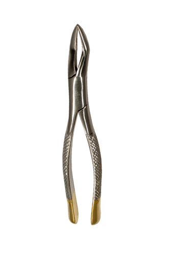 Upper Biscuspid Incisors Universal Forceps