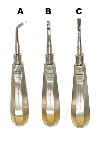 Oral Surgery Elevator Set Dr. Gaum / Set of 3
