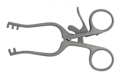 Baby Weitlaner 4¼&quot; 2X3 Blunt Prongs