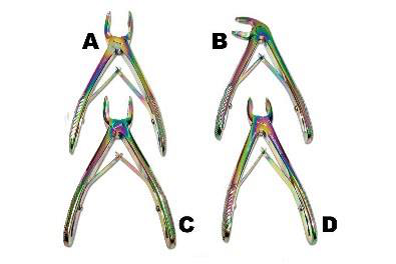 Pediatric Multi Color Extraction Forceps Pediatric Multi Color Extraction Forceps