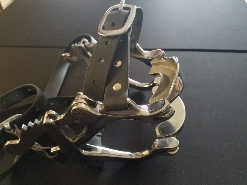 McPherson Pony Speculum