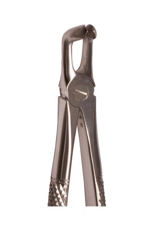 Lower 3rd Molar Universal Forceps