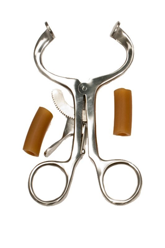 Molt Mouth Speculum - Large