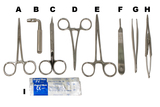 Soft Tissue Grafting