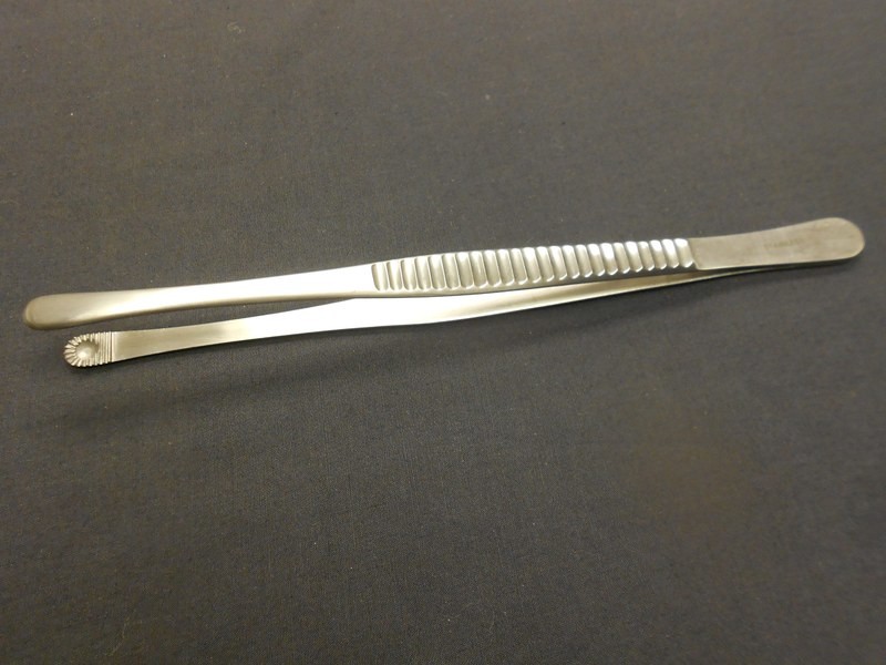 Russian Tissue Forceps 8&quot;  (20.3cm) Premium Quality