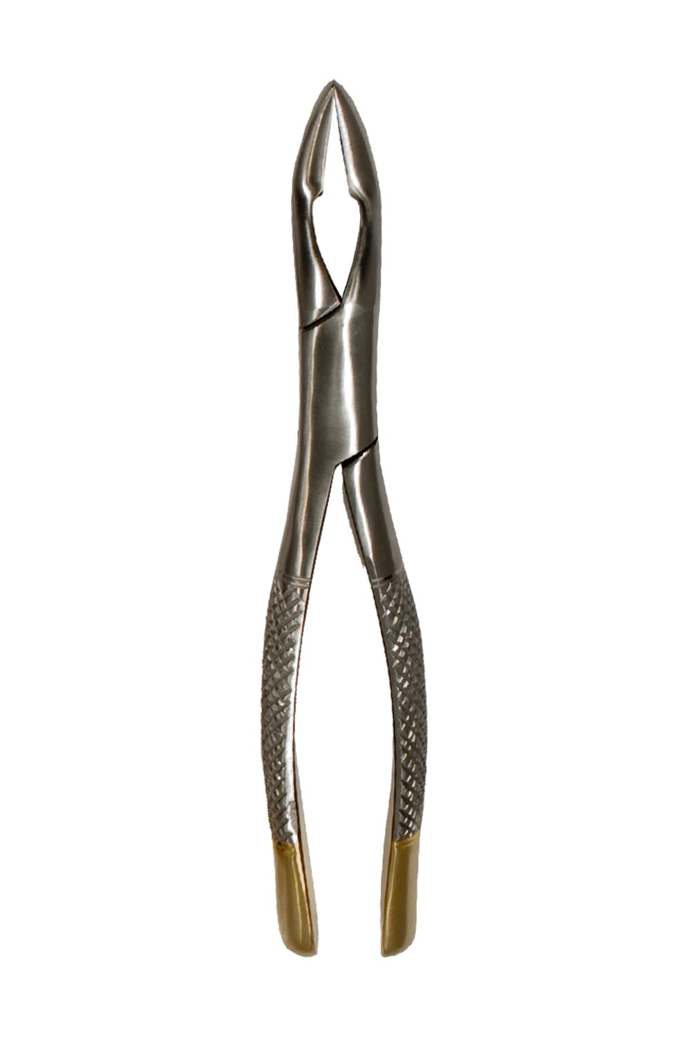 Upper Universal Forceps Incisors &amp; Roots