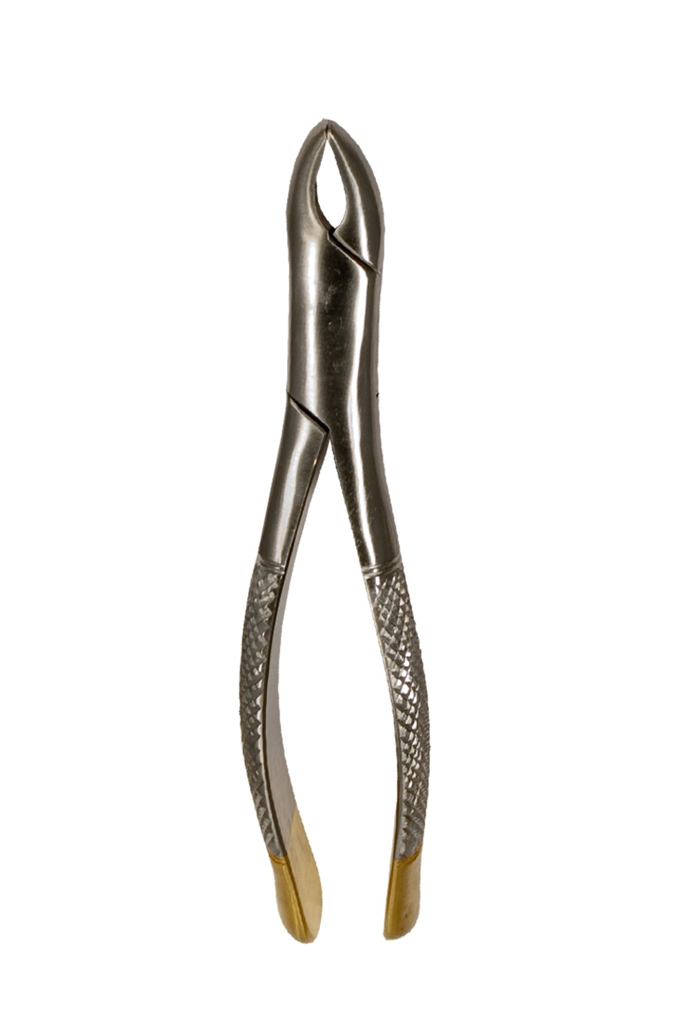 Root Fragments Upper Left &amp; Right Forceps