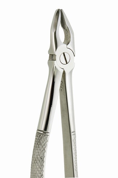 Upper Extraction Universal Forceps Gold Handles