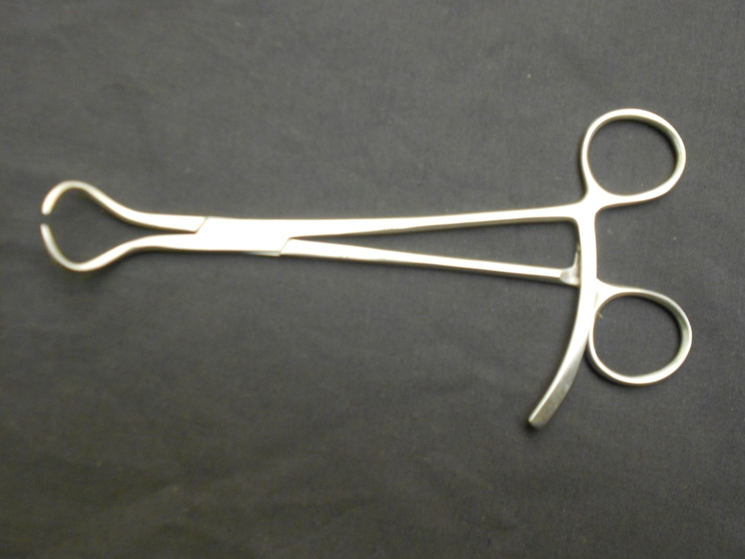 Bone Holding Forceps 7&quot; Single Prong w/ Large Ratchet