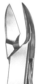 Side Cutting Rongeur 6" Size #5