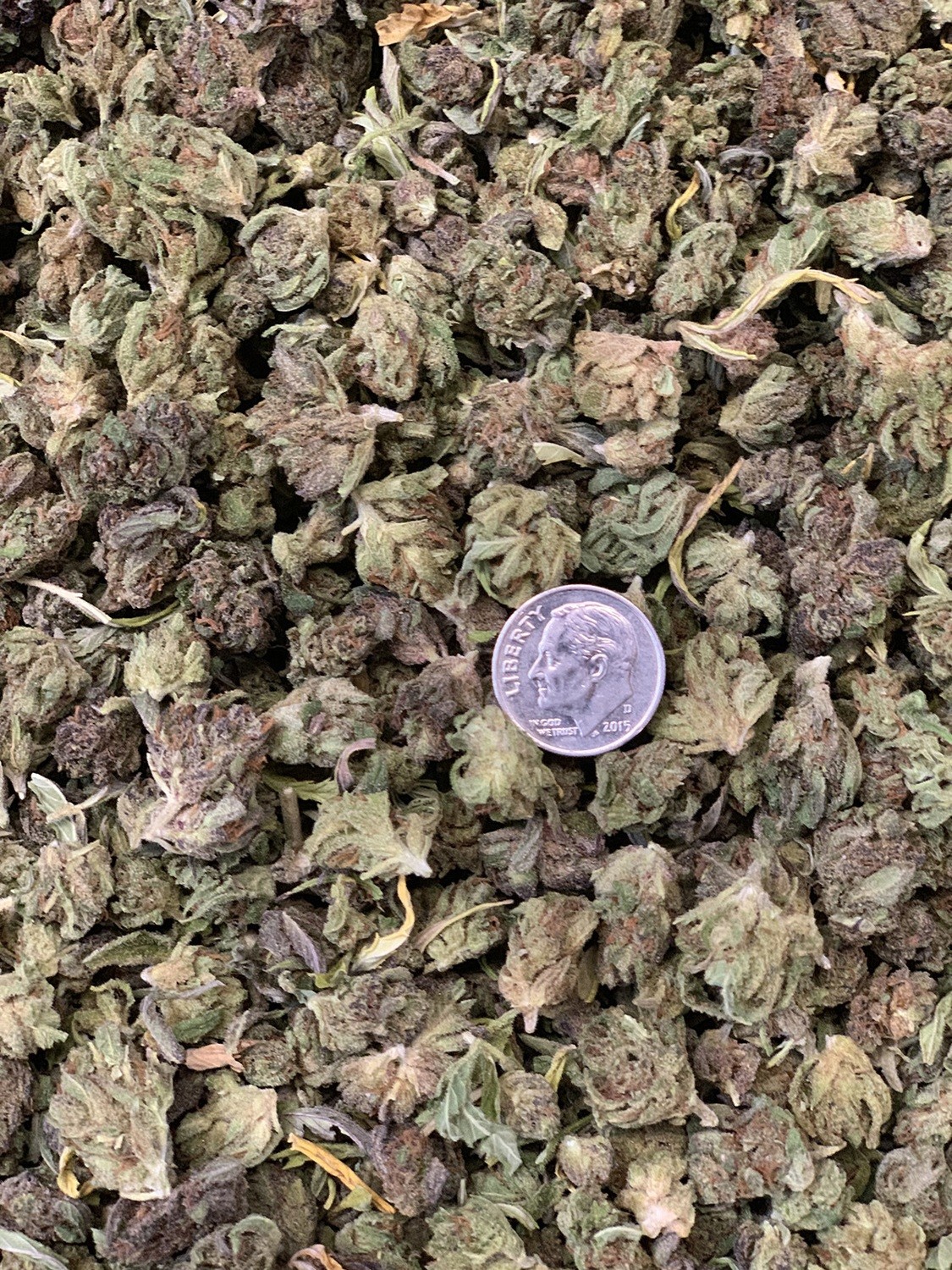 Lifter Hemp Flower - Quick Dried Smalls