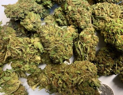 Special Sauce Hemp Flower- Quick Dried 2019 Special Sauce Hemp Flower- Quick Dried 2019