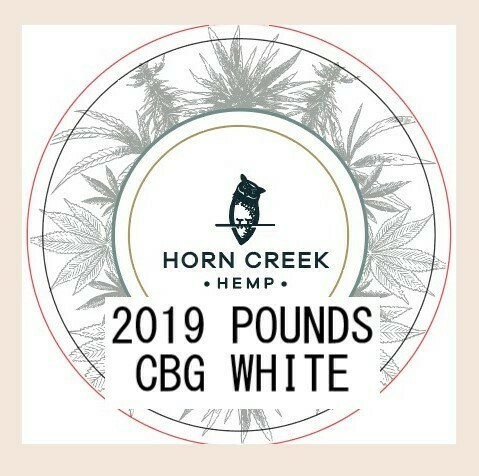 CBG White Hemp Flower | 2019 | Wholesale Pounds