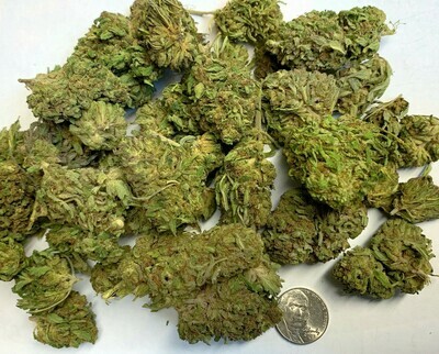 Hawaiian Haze Hemp Flower-Quick Dried Hawaiian Haze Hemp Flower-Quick Dried