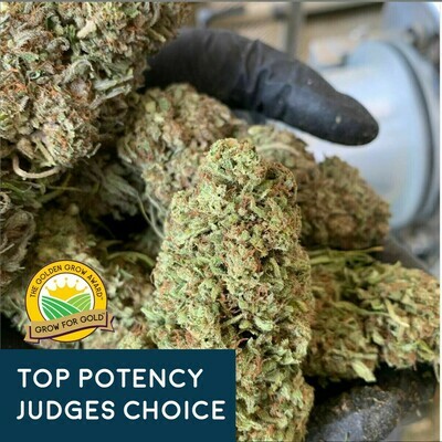 Lifter Hemp Flower | Wholesale (lb) Lifter Hemp Flower | Wholesale (lb)