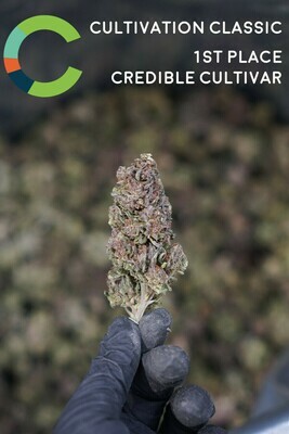 Sour Space Candy Hemp Flower | Wholesale (lb) Sour Space Candy Hemp Flower | Wholesale (lb)