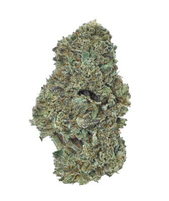 Lifter Hemp Flower Lifter Hemp Flower