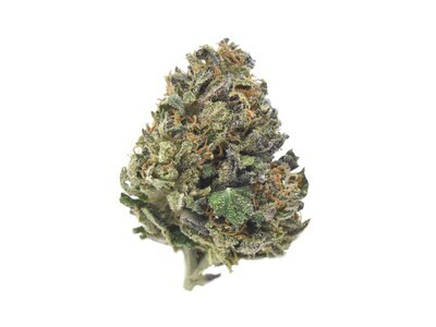 '78 Llamas Hemp Flower | Wholesale Pounds '78 Llamas Hemp Flower | Wholesale Pounds