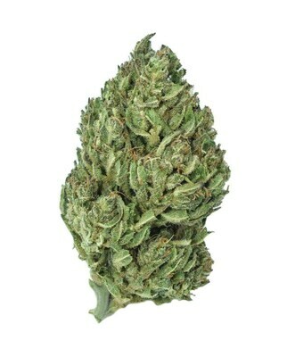 Don't Pass Me By Hemp Flower | Wholesale Pounds Don't Pass Me By Hemp Flower | Wholesale Pounds