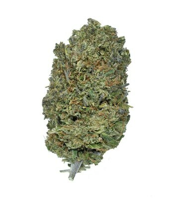 Hawaiian Haze Hemp Flower | Wholesale Pounds Hawaiian Haze Hemp Flower | Wholesale Pounds