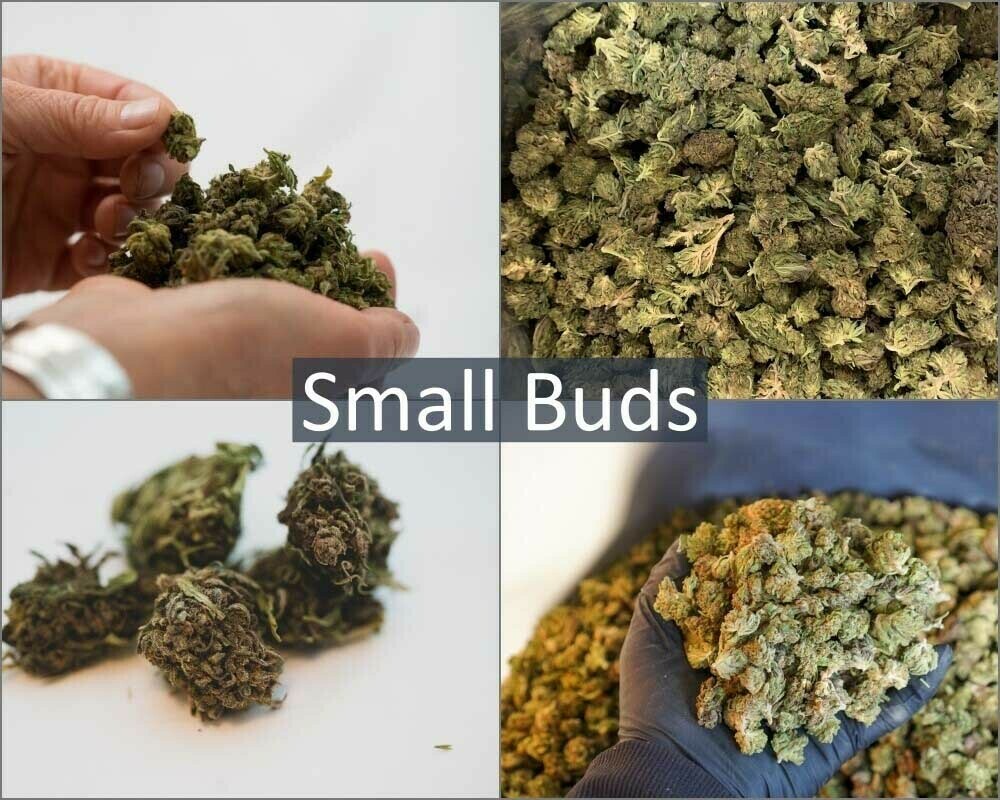 Hemp Flower Samples | Small Buds | Wholesale