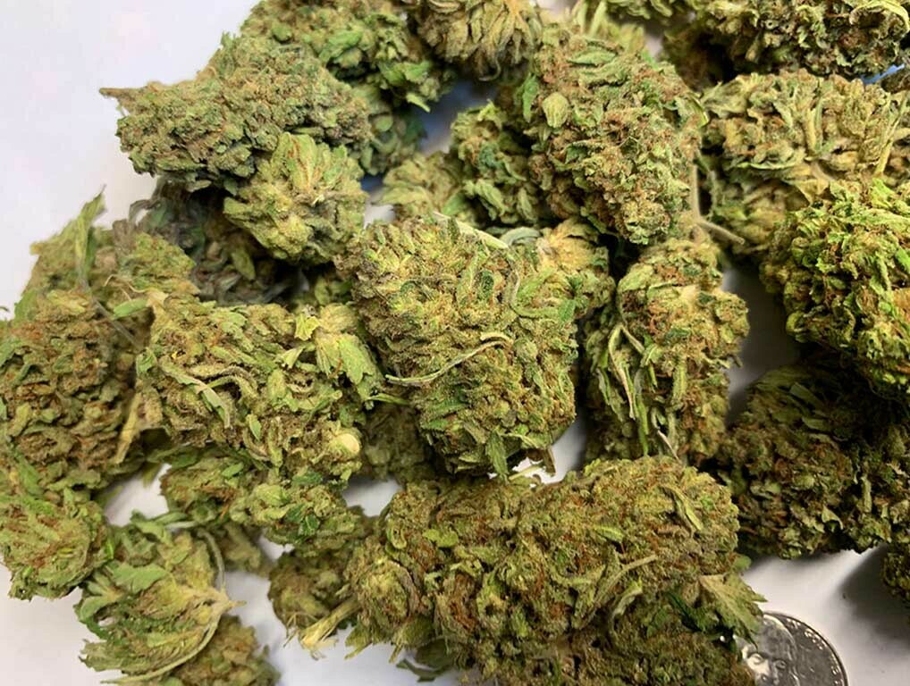 Lifter Hemp Flower Quick Dried | Untrimmed & Unsorted | Wholesale (lb) 2019