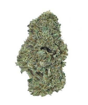 Lifter Hemp Flower | Wholesale Pounds Lifter Hemp Flower | Wholesale Pounds