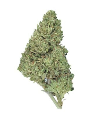 Pear Blossom Hemp Flower | Wholesale Pounds Pear Blossom Hemp Flower | Wholesale Pounds