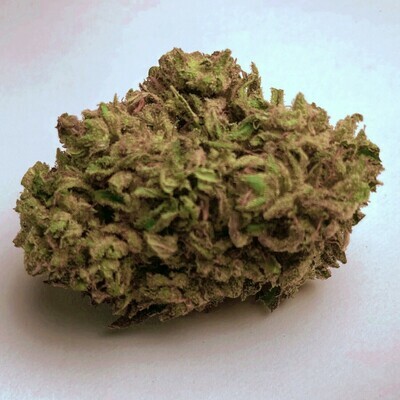 Sour Special Sauce Hemp Flower | Wholesale (lb) Sour Special Sauce Hemp Flower | Wholesale (lb)