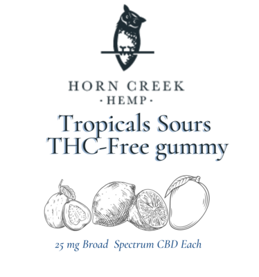 CBD Gummies | 25mg THC-Free | Tropical Sours