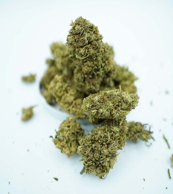 CBG Stem Cell Hemp Flower | Wholesale Pounds CBG Stem Cell Hemp Flower | Wholesale Pounds