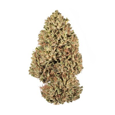 NEW! 2021 Oregon Sweetgum Hemp Flower NEW! 2021 Oregon Sweetgum Hemp Flower