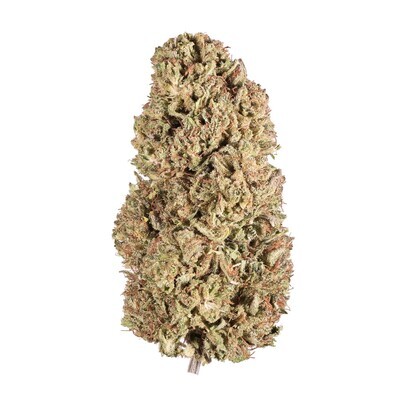 NEW! 2021 Special Sauce Hemp Flower NEW! 2021 Special Sauce Hemp Flower