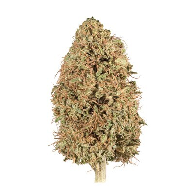 NEW! 2021 Sour Suver Haze Hemp Flower NEW! 2021 Sour Suver Haze Hemp Flower